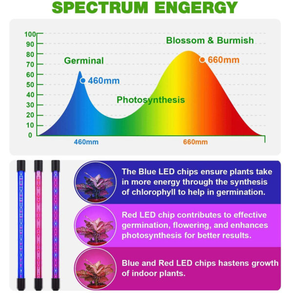 GloboStar® 85956 Grow Light Full Spectrum LED Φωτιστικό Ανάπτυξης Φυτών Γλάστρας με 4 Κινούμενες Κεφαλές & Τρίποδο 150cm SMD 2835 20W 180° AC230V IP20 με Dimmer & Timer Εσωτερικού Χώρου για Κάλυψη Επιφάνειας 1m x 1m Πλήρους Φάσματος Φωτισμού - Image 11