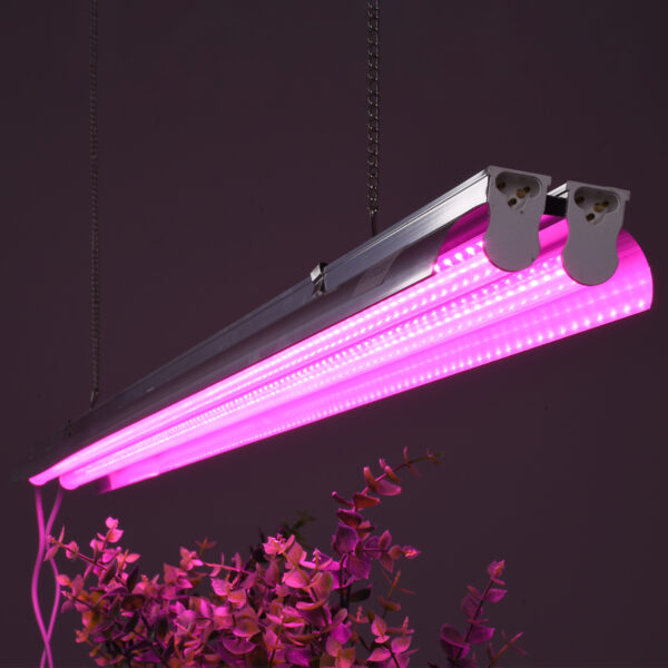 GloboStar® 85958 Linear Grow Light Full Spectrum LED Γραμμικό Φωτιστικό Ανάπτυξης Φυτών Θερμοκηπίου 120cm SMD 2835 200W 120° AC230V IP54 Εσωτερικού Χώρου για Κάλυψη Επιφάνειας 1.2m x 1.2m Πλήρους Φάσματος Φωτισμού - Image 11