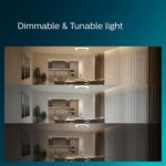 Ανεμιστήρας οροφής Philips Amigo Flat Fan Ceiling IR RD 25W+60W WH - Image 9