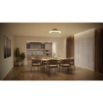 Ανεμιστήρας οροφής Philips Amigo Flat Fan Ceiling IR RD 25W+60W SP ΓΚΡΙ - Image 7