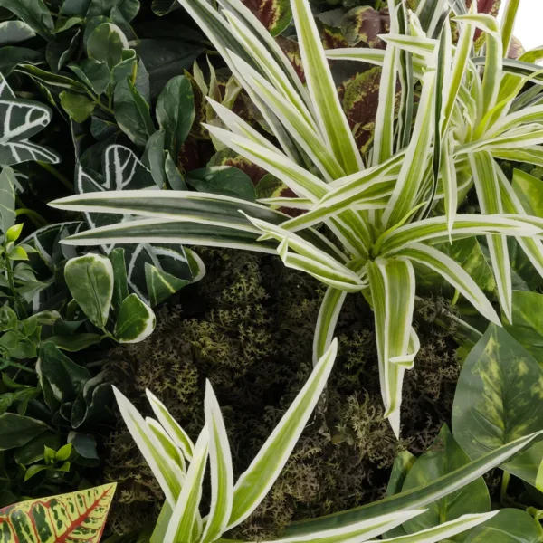 GloboStar® Artificial Garden VARIOUS PLANTS ROUND WALL DISC 20691 Τεχνητό Διακοσμητικό Στρογγυλό Πάνελ Φυλλωσιάς - Κάθετος Κήπος Μιξ Μ60 x Π60 x Υ20cm - Image 5