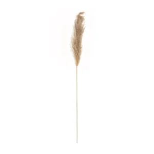 GloboStar® Artificial Garden PAMPAS GRASS 21217 Αποξηραμένο Διακοσμητικό Γρασίδι Πάμπας Μ10 x Π10 x Υ150cm