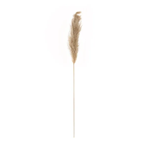 GloboStar® Artificial Garden PAMPAS GRASS 21217 Αποξηραμένο Διακοσμητικό Γρασίδι Πάμπας Μ10 x Π10 x Υ150cm