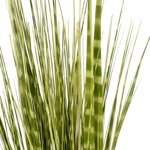 GloboStar® Artificial Garden ZEBRA GRASS 21481 Τεχνητό Διακοσμητικό Φυτό Ζέμπρα Μ30 x Π20 x Υ90cm - Image 2