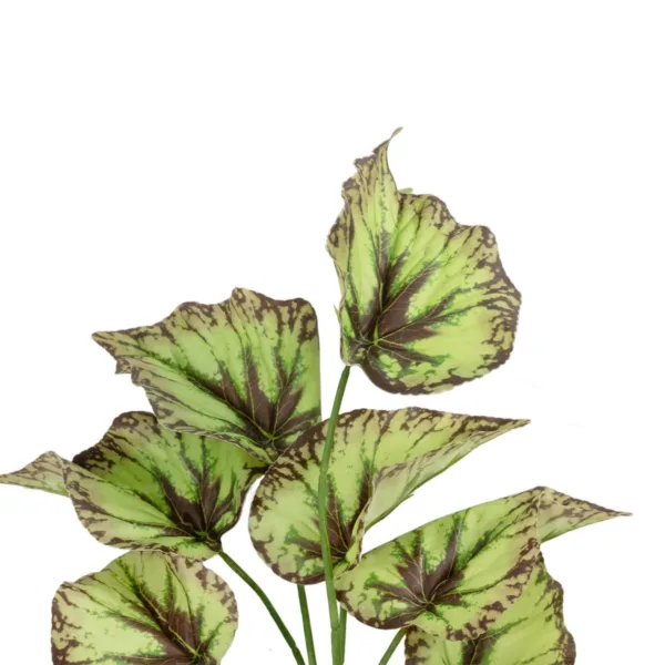 GloboStar® Artificial Garden BEGONIA LEAVES ROOTED 21491 Τεχνητό Διακοσμητικό Φυτό Πολύχρωμη Βιγόνια Μ25 x Π14 x Υ35cm - Image 2