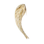 GloboStar® GOURAMI 02359 Boho Επιτοίχιο Φωτιστικό Απλίκα Μονόφωτο 1 x E27 IP20 Μπεζ Ξύλο - Μ98 x Π33 x Υ22.5cm