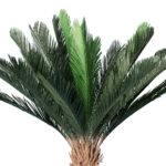 GloboStar® Artificial Garden CYCADS 20023 Τεχνητό Διακοσμητικό Φυτό Αρωματική Κύκας Υ140cm - Image 2