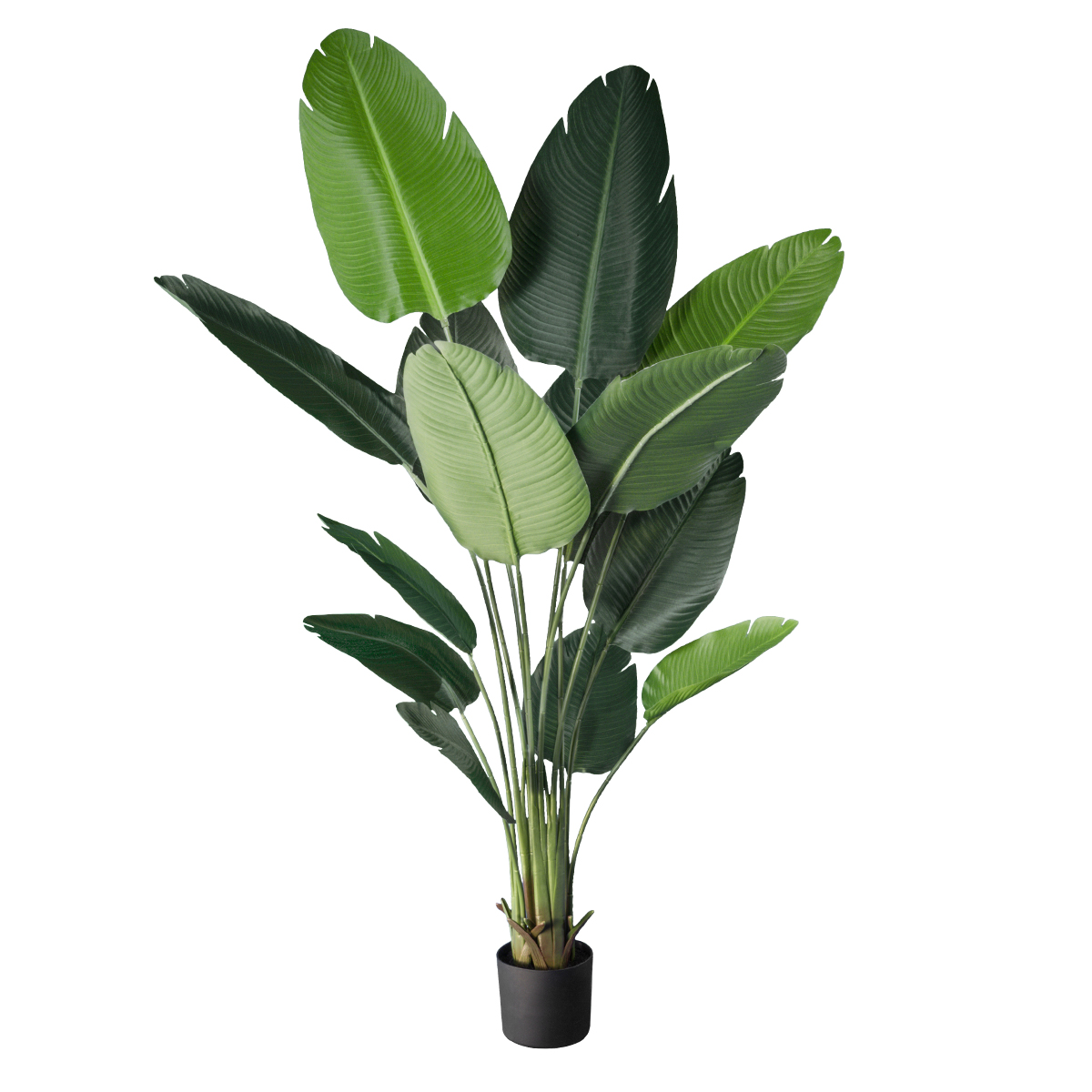GloboStar® Artificial Garden STRELITZIA 20027 Τεχνητό Διακοσμητικό Φυτό Στρελίτσια - Πουλί του Παραδείσου Υ200cm