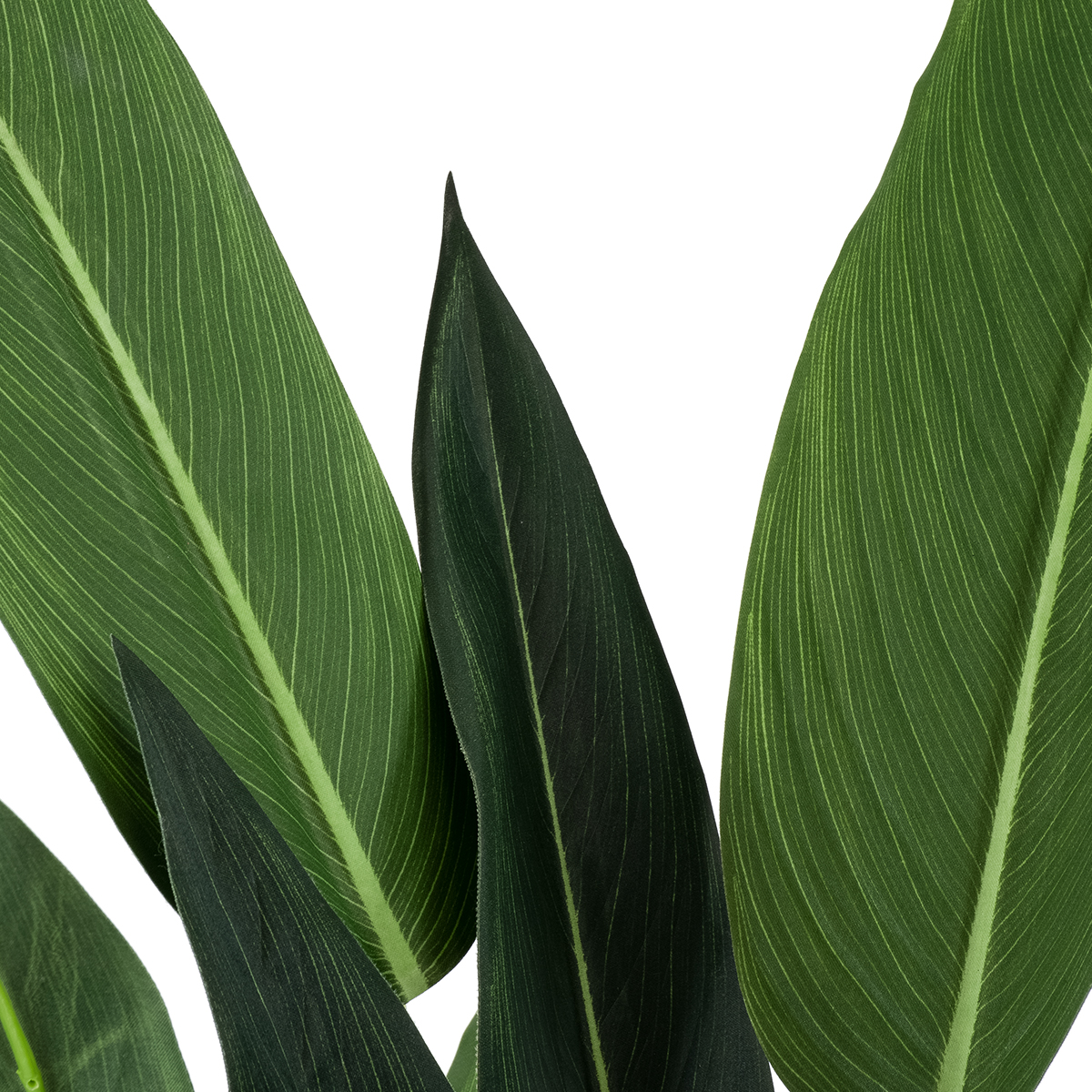 GloboStar® Artificial Garden STRELITZIA 20028 Τεχνητό Διακοσμητικό Φυτό Στρελίτσια - Πουλί του Παραδείσου Υ120cm - Image 2