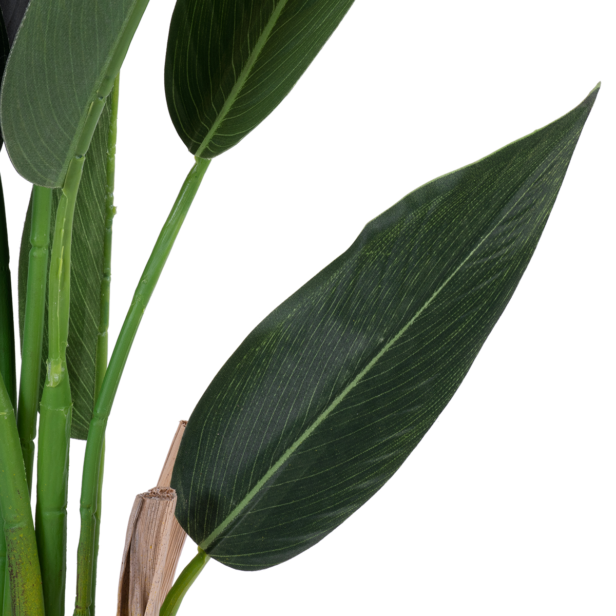 GloboStar® Artificial Garden STRELITZIA 20028 Τεχνητό Διακοσμητικό Φυτό Στρελίτσια - Πουλί του Παραδείσου Υ120cm - Image 3