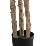 GloboStar® Artificial Garden FORTUNE GUIANA TREE 20056 Τεχνητό Διακοσμητικό Φυτό Καστανιά του Μαλαμπάρ Υ160cm - Image 3