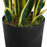 GloboStar® Artificial Garden BLOODLEAF DRACAENA TRIFASCIATA 20060 Τεχνητό Διακοσμητικό Φυτό Αιματόφυλλη Σανσεβιέρια Υ70cm - Image 3