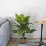 GloboStar® Artificial Garden ROHDEA JAPONICA 20068 Τεχνητό Διακοσμητικό Φυτό Ιαπωνέζικη Ροδέα Υ80cm - Image 4