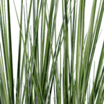 GloboStar® Artificial Garden PAMPAS GRASS 20071 Τεχνητό Διακοσμητικό Φυτό Γρασίδι της Πάμπας Υ150cm - Image 2