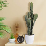 GloboStar® Artificial Garden OPUNTIA FICUS-INDICA CACTUS 20096 Τεχνητό Διακοσμητικό Φυτό Κάκτος Φραγκοσυκιά Υ60cm - Image 5