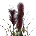 GloboStar® Artificial Garden BLOODY PAMPAS GRASS 20110 Τεχνητό Διακοσμητικό Φυτό Αιματόφυλλο Γρασίδι της Πάμπας Υ150cm - Image 2