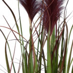 GloboStar® Artificial Garden BLOODY PAMPAS GRASS 20110 Τεχνητό Διακοσμητικό Φυτό Αιματόφυλλο Γρασίδι της Πάμπας Υ150cm - Image 3