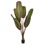GloboStar® Artificial Garden BLOODY BANANA TREE 20119 - Τεχνητό Διακοσμητικό Φυτό Αιματόφυλλη Μπανανιά - Μπανανόδεντρο Υ220cm