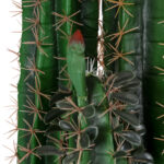 GloboStar® Artificial Garden MYRTILLOCACTUS 20128 Τεχνητό Διακοσμητικό Φυτό Μυρτιλλόκακτος Υ150cm - Image 3