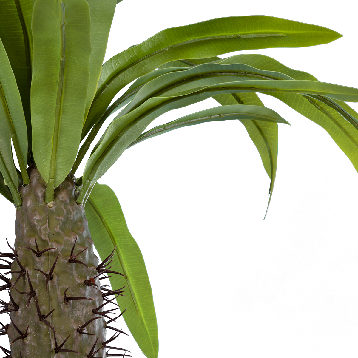 GloboStar® Artificial Garden PACHYPODIUM LAMEREI PALM TREE 20129 Τεχνητό Διακοσμητικό Φυτό Φοίνικας της Μαγαδασκάρης Υ105cm - Image 2