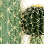 GloboStar® Artificial Garden CARNEGIEA CACTUS 20135 Τεχνητό Διακοσμητικό Φυτό Κάκτος Σαγκουάρο Υ180cm - Image 3