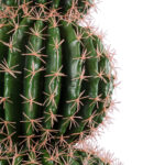 GloboStar® Artificial Garden FEROCACTUS 20137 Τεχνητό Διακοσμητικό Φυτό Φερόκακτος Υ85cm - Image 2