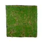 GloboStar® Artificial Garden BRYOPHYTA 20144 Τεχνητό Διακοσμητικό Πάνελ Φυλλωσιάς - Κάθετος Κήπος Βρύα Μ100 x Π100 x Υ3cm