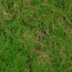 GloboStar® Artificial Garden BRYOPHYTA 20144 Τεχνητό Διακοσμητικό Πάνελ Φυλλωσιάς - Κάθετος Κήπος Βρύα Μ100 x Π100 x Υ3cm - Image 5