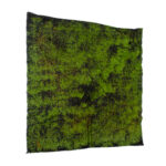 GloboStar® Artificial Garden BRYOPHYTA 20146 Τεχνητό Διακοσμητικό Πάνελ Φυλλωσιάς - Κάθετος Κήπος Βρύα Μ100 x Π100 x Υ2cm - Image 3