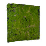 GloboStar® Artificial Garden BRYOPHYTA 20148 Τεχνητό Διακοσμητικό Πάνελ Φυλλωσιάς - Κάθετος Κήπος Βρύα Μ100 x Π100 x Υ4cm - Image 4