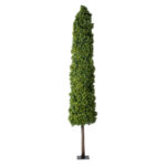 GloboStar® Artificial Garden BUXUS 20158 Τεχνητό Διακοσμητικό Φυτό Πυξός Υ250cm
