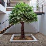 GloboStar® Artificial Garden BANYAN FICUS TREE 20160 Τεχνητό Διακοσμητικό Δέντρο Ινδική Συκιά Φίκος Υ340cm - Image 4