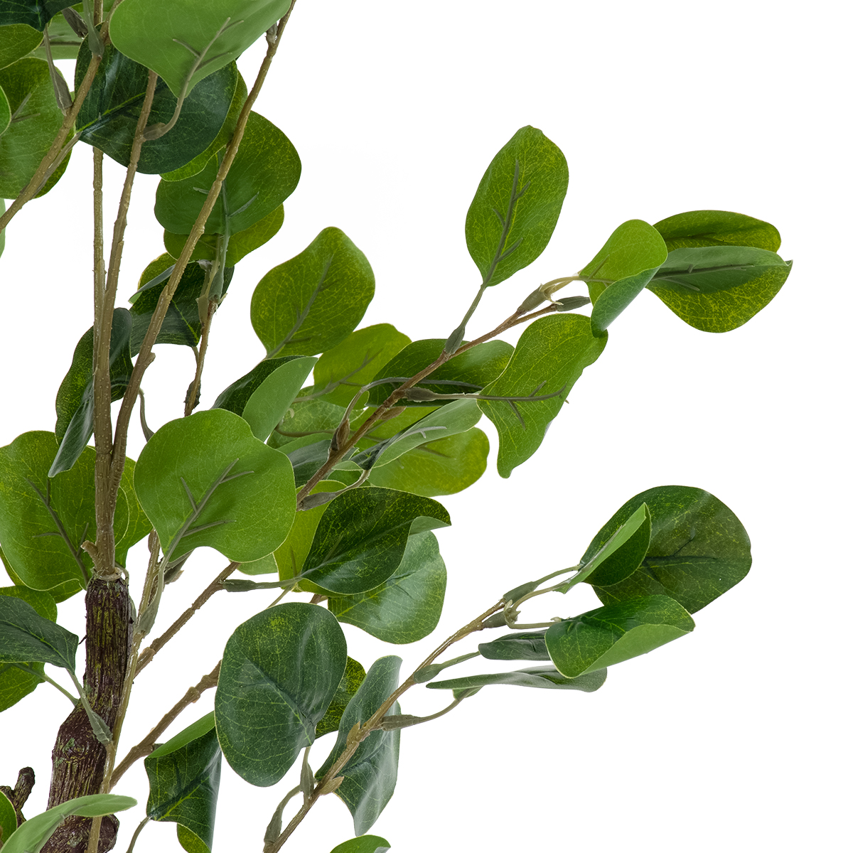 GloboStar® Artificial Garden EUCALYPTUS 20190 Τεχνητό Διακοσμητικό Φυτό Ευκάλυπτος Υ120cm - Image 2