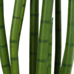 GloboStar® Artificial Garden SANSEVIERIA CYLINDRICA 20210 Τεχνητό Διακοσμητικό Φυτό Σανσεβιέρια Υ120cm - Image 3