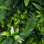 GloboStar® Artificial Garden JUNGLE FERN 20351 Τεχνητό Διακοσμητικό Πάνελ Φυλλωσιάς - Κάθετος Κήπος σύνθεση Ζούγκλα Φτέρης Μ100 x Π100 x Υ20cm - Image 6
