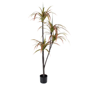 GloboStar® Artificial Garden DRAGON BLOOD TREE 20372 - Τεχνητό Διακοσμητικό Φυτό Δράκαινα Υ180cm