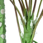 GloboStar® Artificial Garden PAPAYA TREE 20383 Τεχνητό Διακοσμητικό Φυτό  Παπάγια Υ270cm - Image 3