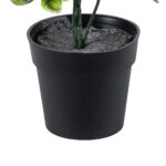 GloboStar® Artificial Garden ANUBIA BARTERI 20390 Τεχνητό Διακοσμητικό Φυτό Ανούμπια Υ30cm - Image 3