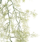 GloboStar® Artificial Garden EUCALYPTUS HANGING BRANCH 20412 Τεχνητό Διακοσμητικό Κρεμαστό Φυτό Ευκάλυπτος Υ90cm - Image 2