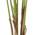 GloboStar® Artificial Garden ARECA PALM TREE 20418 - Τεχνητό Διακοσμητικό Φυτό Φοινικόδεντρο Αρέκα Υ120cm - Image 3