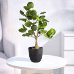 GloboStar® Artificial Garden POLYSCIAS SCUTELLARIA TREE 20424 Τεχνητό Διακοσμητικό Φυτό Πολυσκιά Υ50cm - Image 6