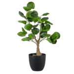 GloboStar® Artificial Garden POLYSCIAS SCUTELLARIA TREE 20424 Τεχνητό Διακοσμητικό Φυτό Πολυσκιά Υ50cm - Image 3
