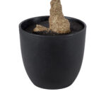 GloboStar® Artificial Garden POLYSCIAS SCUTELLARIA TREE 20424 Τεχνητό Διακοσμητικό Φυτό Πολυσκιά Υ50cm - Image 2