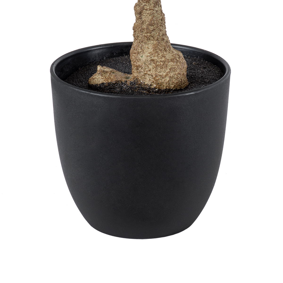 GloboStar® Artificial Garden POLYSCIAS SCUTELLARIA TREE 20424 Τεχνητό Διακοσμητικό Φυτό Πολυσκιά Υ50cm - Image 2