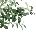 GloboStar® Artificial Garden OLIVE TREE 20429 Τεχνητό Διακοσμητικό Δέντρο Ελιά Υ240cm - Image 2