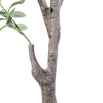 GloboStar® Artificial Garden OLIVE TREE 20429 Τεχνητό Διακοσμητικό Δέντρο Ελιά Υ240cm - Image 4
