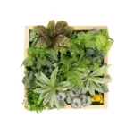 GloboStar® Artificial Garden VARIOUS PLANT 20641 Τεχνητό Διακοσμητικό Φυλλωσιάς σε Ξύλινο Πάνελ  - Κάθετος Κήπος Μιξ Μ60 x Π60 x Υ32cm