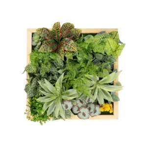 GloboStar® Artificial Garden VARIOUS PLANT 20641 Τεχνητό Διακοσμητικό Φυλλωσιάς σε Ξύλινο Πάνελ  - Κάθετος Κήπος Μιξ Μ60 x Π60 x Υ32cm