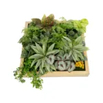 GloboStar® Artificial Garden VARIOUS PLANT 20641 Τεχνητό Διακοσμητικό Φυλλωσιάς σε Ξύλινο Πάνελ  - Κάθετος Κήπος Μιξ Μ60 x Π60 x Υ32cm - Image 4