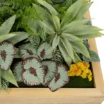 GloboStar® Artificial Garden VARIOUS PLANT 20641 Τεχνητό Διακοσμητικό Φυλλωσιάς σε Ξύλινο Πάνελ  - Κάθετος Κήπος Μιξ Μ60 x Π60 x Υ32cm - Image 7